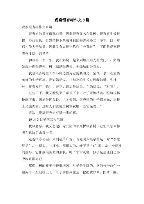 观察银杏树作文8篇