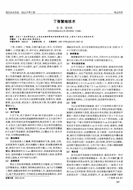 丁香繁殖技术