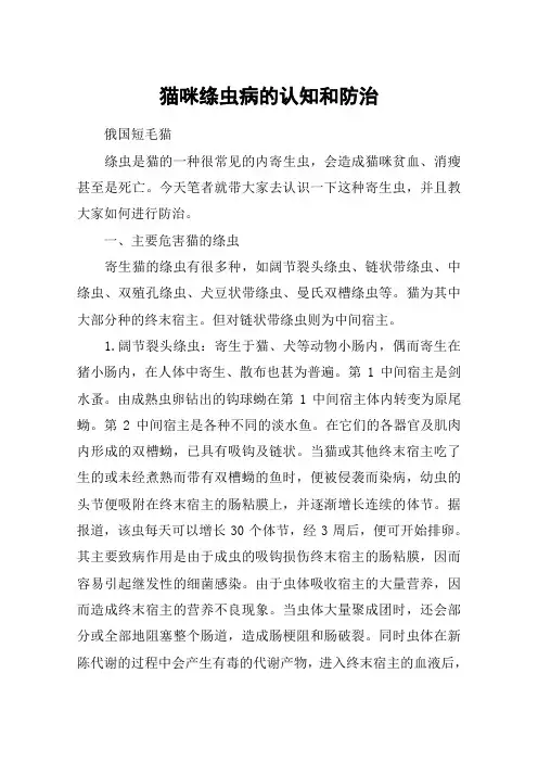 猫咪绦虫病的认知和防治