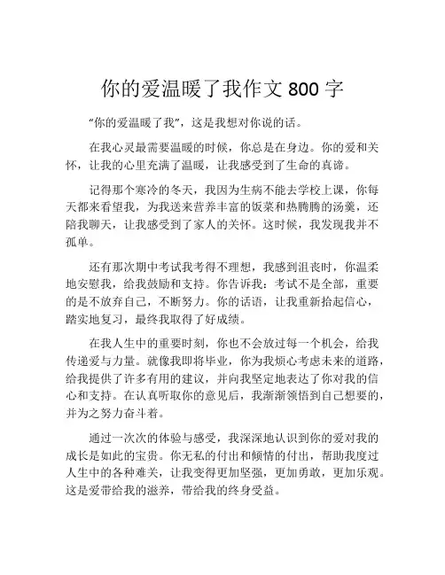 你的爱温暖了我作文800字