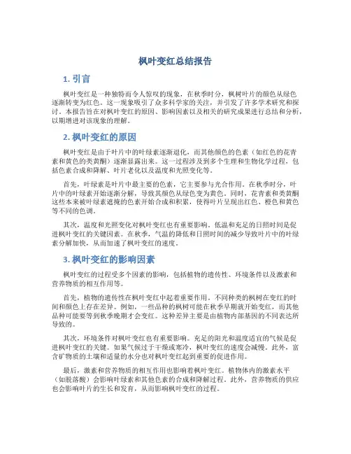 枫叶变红总结报告