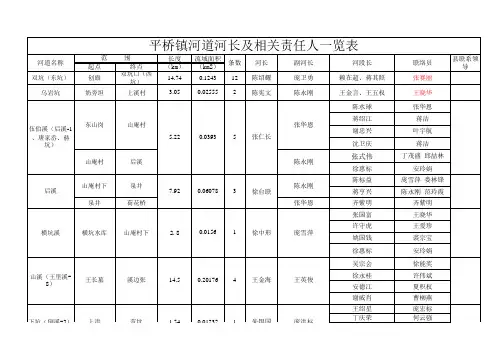五水共治河道台帐明细表