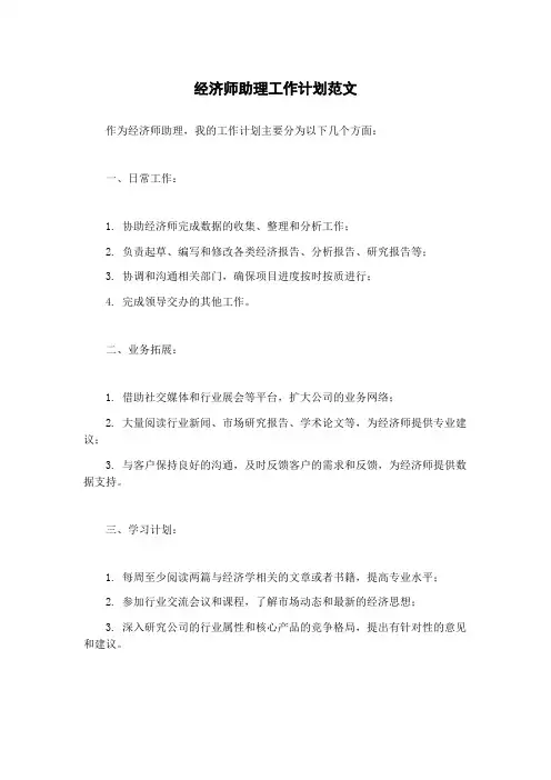经济师助理工作计划范文