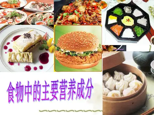 主要营养成分