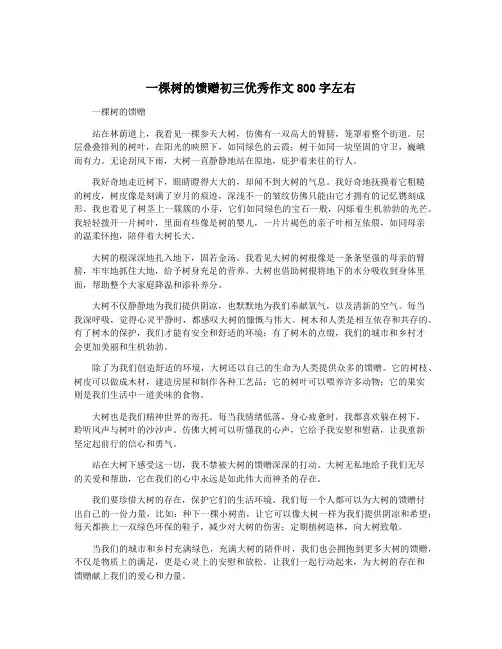 一棵树的馈赠初三优秀作文800字左右