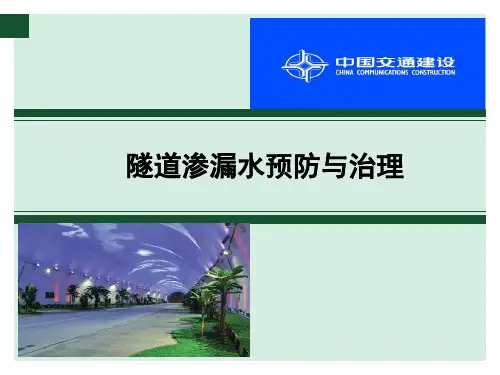 隧道渗漏水预防与治理