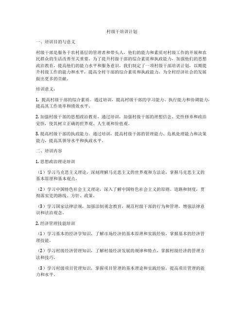 村级干培训计划