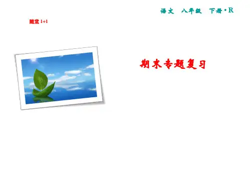 2019年春人教部编版八年级语文下册复习课件：期末专题复习 专题5(共9张PPT)