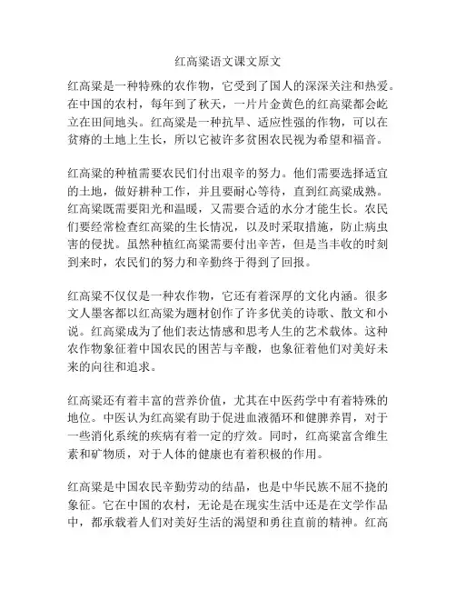 红高粱语文课文原文