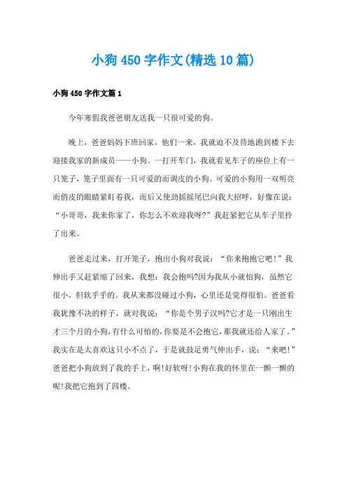 小狗450字作文(精选10篇)