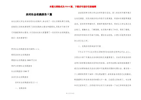 农村社会实践报告5篇