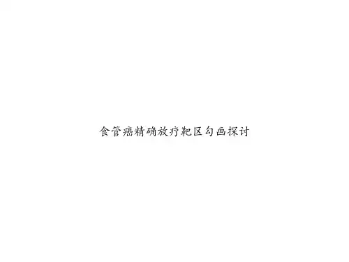 食管癌精确放疗靶区勾画探讨