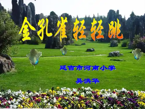 金孔雀轻轻跳课件.ppt
