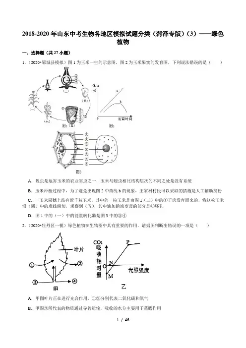 2018-2020年山东中考生物各地区模拟试题分类(菏泽专版)(3)——绿色植物(含解析)