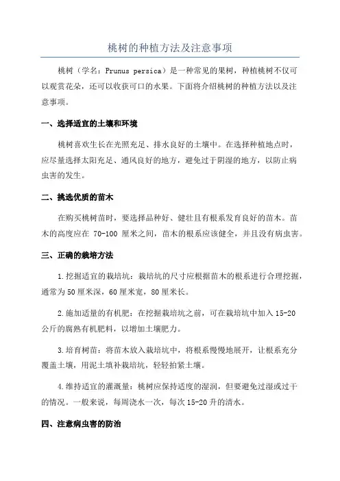 桃树的种植方法及注意事项
