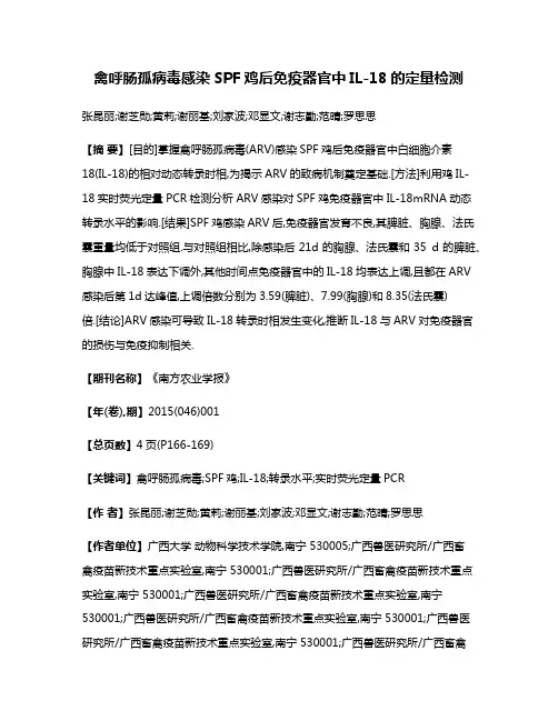 禽呼肠孤病毒感染SPF鸡后免疫器官中IL-18的定量检测