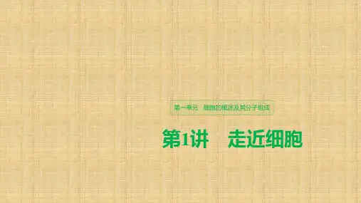 (人教通用)2020版高考生物大一轮复习 第一单元 细胞的概述及其分子组成 第1讲 走近细胞名师课件