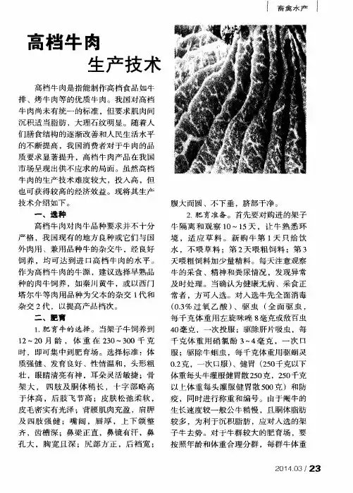 高档牛肉生产技术