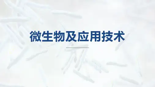 农业小推手：食用菌生产技术