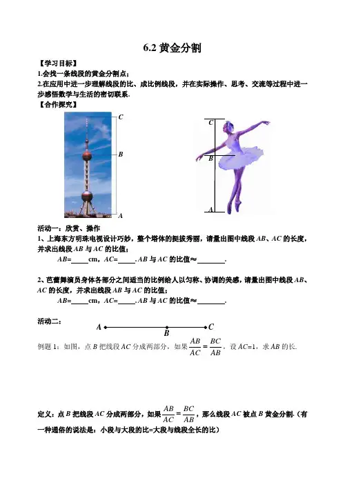 新苏科版九年级数学下册《6章 图形的相似  6.2 黄金分割》教案_4