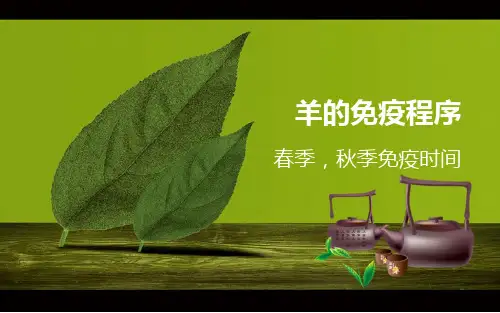 羊的防疫程序
