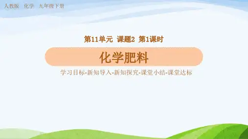 化学肥料 人教版九年级下册化学第11单元 教学PPT课件