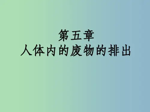 七年级生物下册第四单元第五章人体内废物的排出1新版新人教版