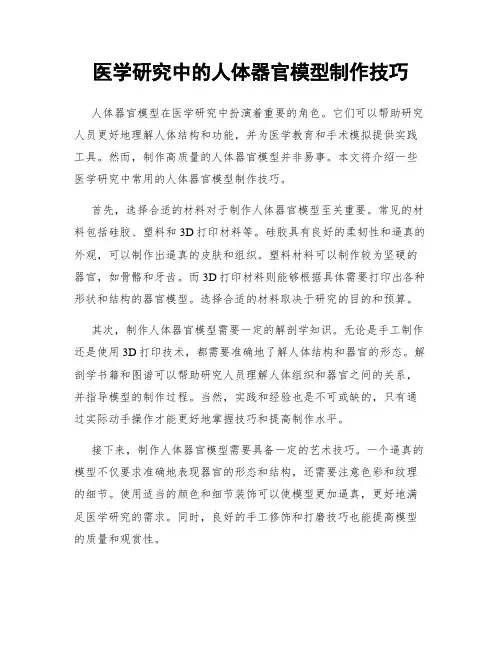 医学研究中的人体器官模型制作技巧