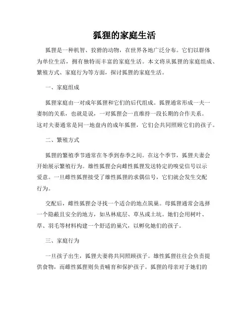 狐狸的家庭生活