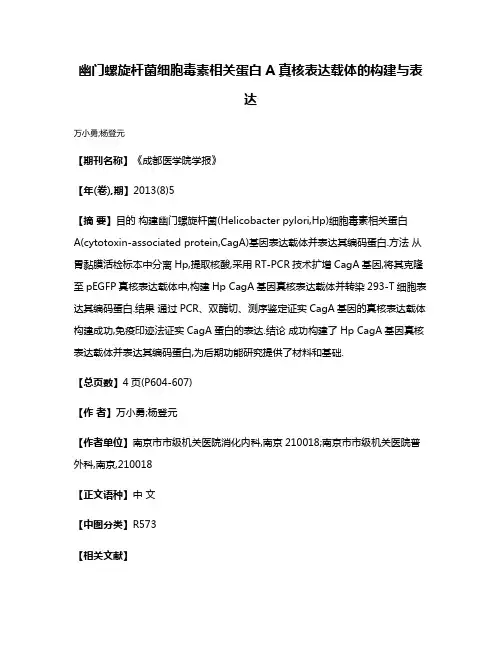 幽门螺旋杆菌细胞毒素相关蛋白A真核表达载体的构建与表达