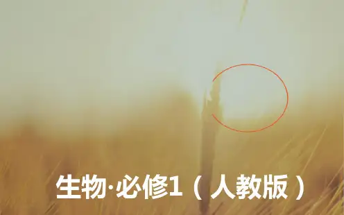 2018秋生物必修1课件：第2章第1节细胞中的元素和化合物