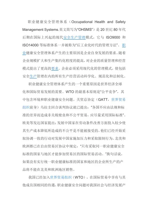 职业健康安全管理体系 指南
