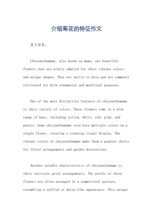 介绍菊花的特征作文