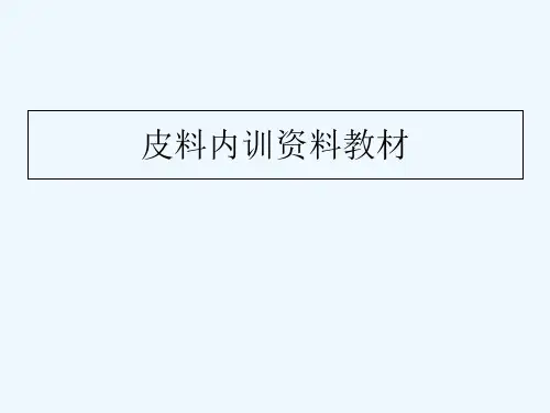 皮料加工工艺流程 PPT