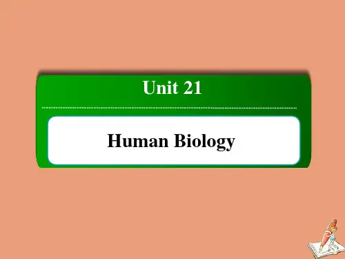 2021学年高中英语Unit21Lesson1SuperAthletes课件北师大版选修7.ppt
