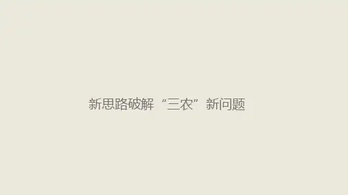 三农问题