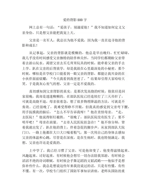 爱的背影作文800字