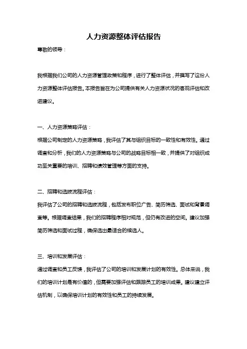 人力资源整体评估报告