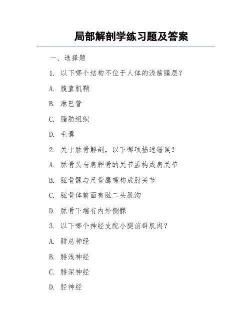 局部解剖学练习题及答案