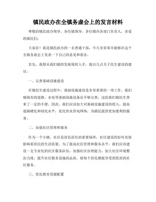 镇民政办在全镇务虚会上的发言材料
