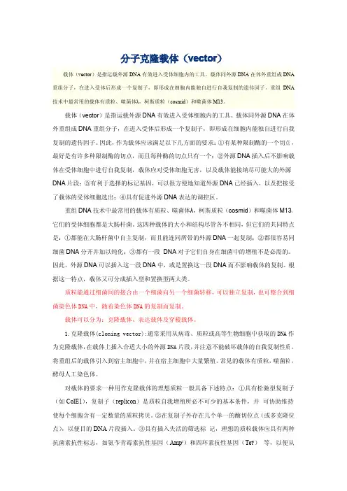 分子克隆载体