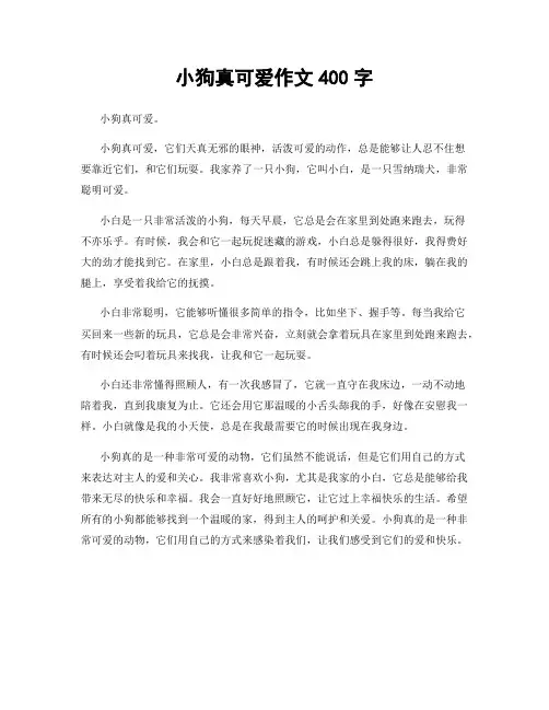 小狗真可爱作文400字