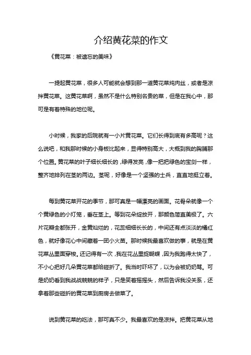 介绍黄花菜的作文