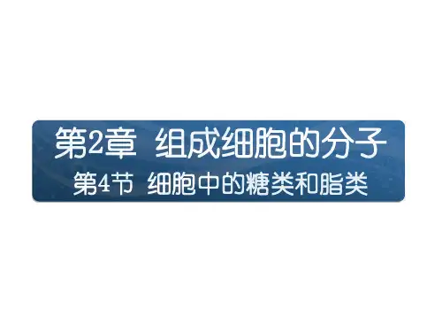 人教版高中生物必修一2.4细胞中的糖类和脂质ppt(共36张PPT)