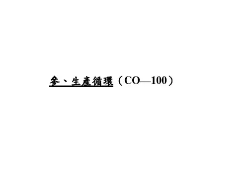 内部控制-生产循环
