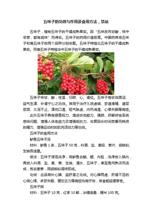 五味子的功效与作用及食用方法，禁忌