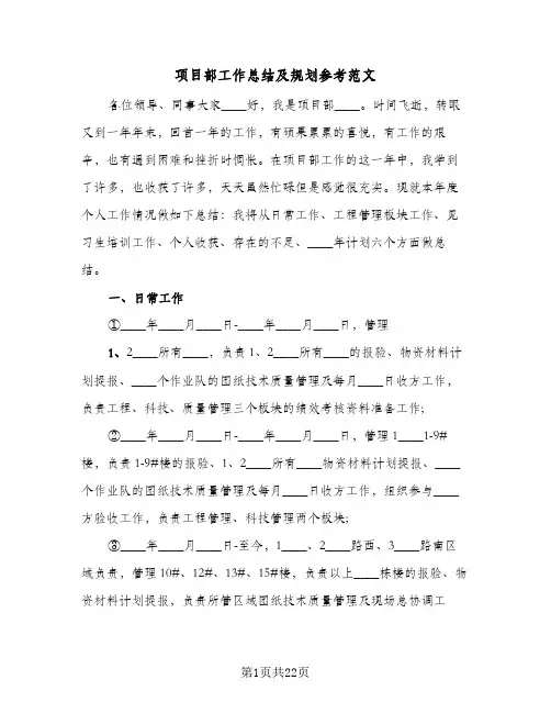 项目部工作总结及规划参考范文（六篇）