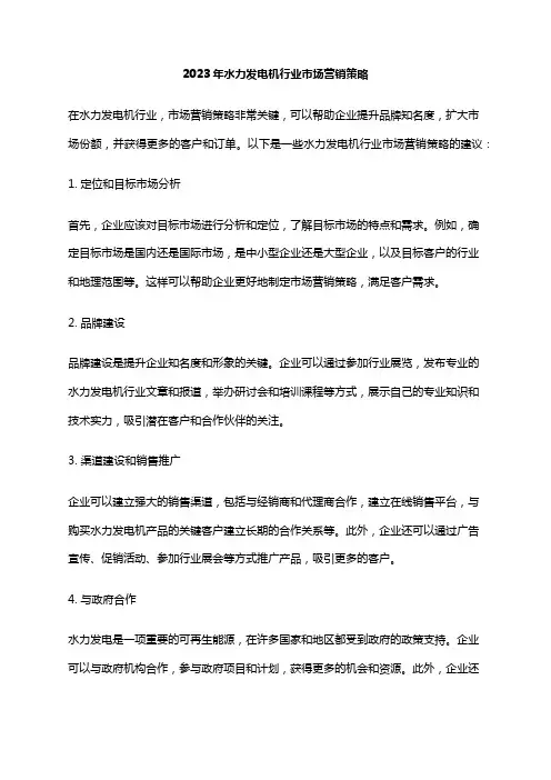 2023年水力发电机行业市场营销策略