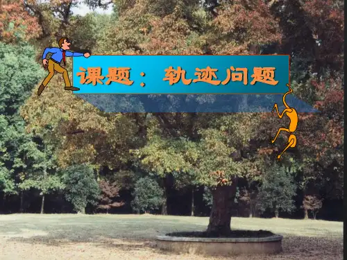 轨迹问题PPT课件