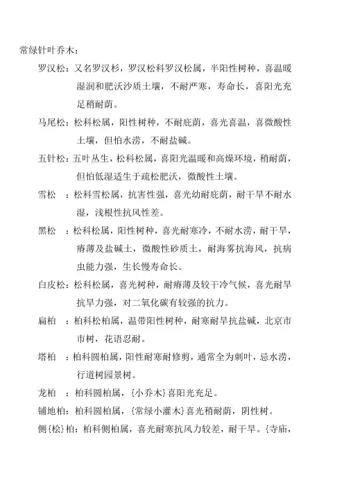 常绿针叶乔木